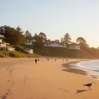 Exploring Watsonville: California's Coastal Agricultural Gem
