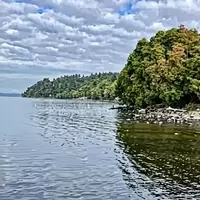 Discovering Des Moines Beach Park: A Gem on Puget Sound