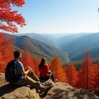 Stony Man Trail: A Journey Through Shenandoah's Scenic Peaks