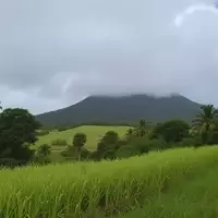 Ascending Mount Liamuiga: A Journey Through St. Kitts' Volcanic Heart