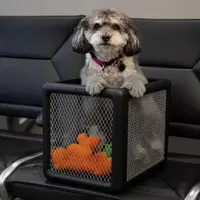 Effortless Airport Journeys with Your Furry Companion: The Ultimate Pet-Friendly Carry-On