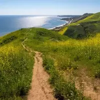 Discovering Malibu's Hidden Gem: The Corral Canyon Loop Trail
