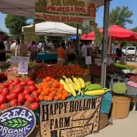 Columbia, Missouri: A Hidden Gem for Nature Lovers and Culture Seekers