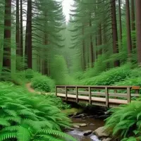 Skyline Ridge: California's Coastal Hiking Gem