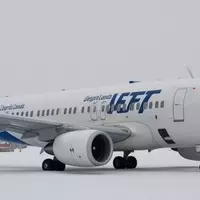 Navigating Air Travel with Feline Companions: A Cautionary Tale for Pet Owners