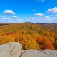 Discovering Oneida: Tennessee's Hidden Gem for Nature Lovers