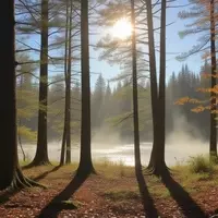 Discover Serenity: The Northville-Placid Trail, Adirondacks' Autumn Secret