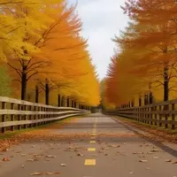 Vermont's Autumnal Splendor: A Journey Through New England's Most Vibrant Fall Landscapes