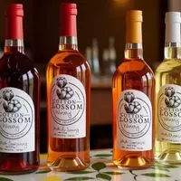 Marlow, Oklahoma: A Historic Gem with Western Allure, Outdoor Adventures, and Local Wines