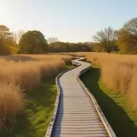 New Jersey's Hidden Gem: A Unique Hiking Trail to Pinwheel Vista