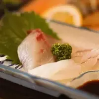 Ine: Japan's Coastal Gem of Culinary Delights and Cultural Festivities