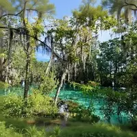 Family Adventures in Florida's Nature Coast: Crystal River and Beyond
