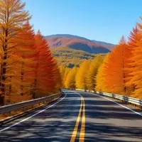 Experience the Splendor of Autumn: A Guide to Peak Fall Foliage Across the US