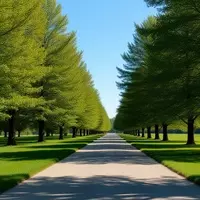 Michigan's Rail-Trail: Connecting Towns and Nature