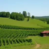 Discovering Moldova: Europe's Hidden Gem for Budget Travelers in 2025