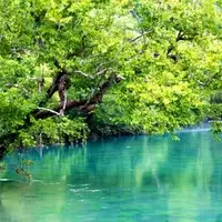 Big Spring, Missouri: A Hidden Turquoise Gem in the Ozarks