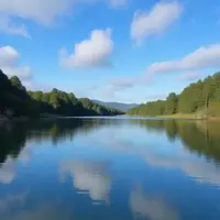 Exploring Seven Islands State Birding Park: A Hidden Gem Near Knoxville