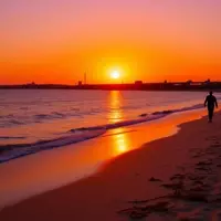 Fort Myers: A Gulf Coast Gem with Pristine Beaches and Historical Charm
