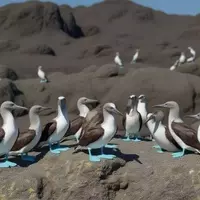 Discovering the Volcanic Majesty of Coronado Island: A Scenic Hike in the Sea of Cortez
