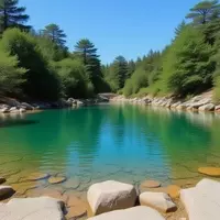 Discovering 'God's Bath': A Hidden Gem in California's Stanislaus National Forest