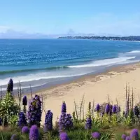 Stinson Beach: California's Shark-Infested Coastal Gem
