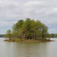 Dreher Island State Park: A Hidden Gem for Outdoor Enthusiasts in South Carolina