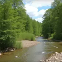 Discovering the Untamed Beauty of Hercules-Glades Wilderness in the Ozarks