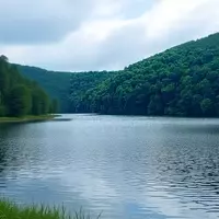 Discover Tranquility at Laurel Hill Lake: An Unspoiled Middle Tennessee Gem for Outdoor Enthusiasts