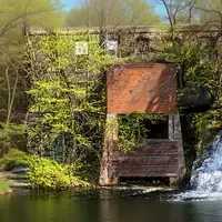 Exploring Connecticut's Snake-Populated Aquatic Habitats