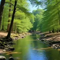 Discovering the Serenity of Happy Creek Forest Walk and Falls