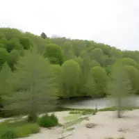 Connecticut's Hidden Gem: American Legion State Forest Offers Diverse Outdoor Adventures