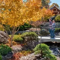 Top Global Destinations for an Autumn Getaway