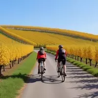 Exploring Europe's Picturesque Rhine Cycle Route: A Journey from Switzerland to the Netherlands
