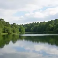 Discover Sesquicentennial State Park: South Carolina's Hidden Gem