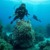 Belize Reschedules Inaugural National Dive Summit for 2026