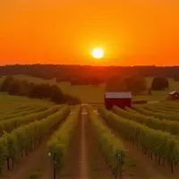 Central New York: America's Premier Craft Beverage Destination