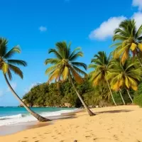 Martinique: An Affordable French-Inspired Caribbean Escape with Volcanic Shores