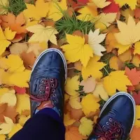 Discovering Autumn's Splendor: Sunkhaze Meadows National Wildlife Refuge