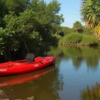 Terra Ceia Preserve State Park: A Coastal Gem for Nature Lovers
