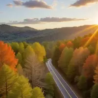 Tennessee Emerges as a Premier Autumn Destination Beyond the Northeast