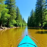 Alachua, Florida: A Charming Gateway to Nature's Springs and Historic Downtown