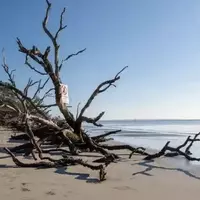 St. Andrews Beach: Jekyll Island's Hidden Gem