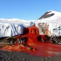Antarctica's 'Bloody Falls' A Unique and Mysterious Natural Phenomenon
