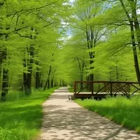 Zeeland: A Hidden Gem in Michigan Offering Dutch Charm and Natural Beauty
