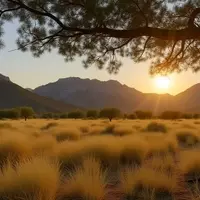 Thatcher, Arizona: A Hidden Gem for Affordable Living, Scenic Views, and Culinary Delights