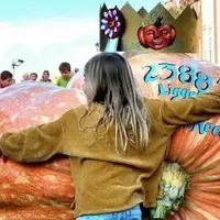 America's Grandest Pumpkin Celebration: A Delightful Autumn Spectacle in an Unsung Midwest Town
