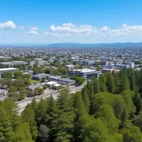 Atherton: A Sanctuary of Art, Green Spaces, and Exclusivity in California's Embrace