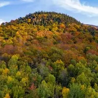 Mount Mansfield: Vermont's Majestic Peak for Fall Foliage and Adventure