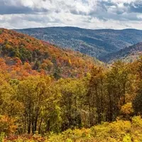 Experience Virginia's Autumnal Beauty on a Historic Train Journey