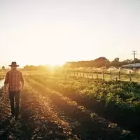 Tractor Supply's Strategic Blueprint for Future Growth